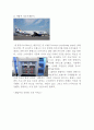 아시아나항공 (Asiana Airlines) 기업경영 사례분석 - 아시아나항공 경영분석과 SWOT분석및 아시아나항공 마케팅전략분석과 아시아나항공의 문제점과 해결방안제안 및 견해정리 20페이지