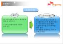 SK 해운海運 조사 30페이지