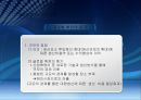 글로벌 국제 환경에서의 조직설계 6페이지