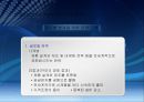 글로벌 국제 환경에서의 조직설계 11페이지