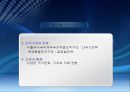 글로벌 국제 환경에서의 조직설계 46페이지