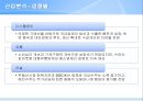 Zero-Sum Investment Proposal,투자 19페이지