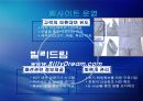 여성의류렌탈 (빌리드림.BillyDream.com).ppt 11페이지