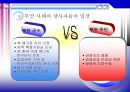 혐오시설嫌惡施設 관련  -핵폐기물처리장 선정 사례- 11페이지