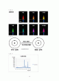 [물리화학실험] 원소의 방출스펙트럼 Emission Experiment Line Spectra of Elements (실험 8) 12페이지