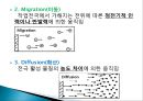 [전기분석화확] 순환전압전류법 (Cyclo Voltametry).pptx 17페이지