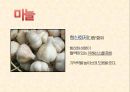 집중력 증진 방법 PPT(집중력향상음식, 집중력향상방법, 치매예방법) 5페이지