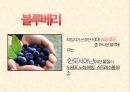 집중력 증진 방법 PPT(집중력향상음식, 집중력향상방법, 치매예방법) 6페이지