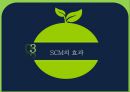 공급사슬관리 13페이지