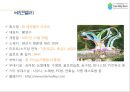 ☆ 판매촉진이벤트 - 에덴벨리 6페이지