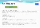 판교개발의 현재와 미래 22페이지