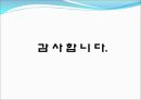 판교개발의 현재와 미래 32페이지