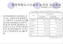 행정복합도시 건설이 서울의 입지에 미칠 영향.ppt 10페이지