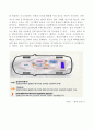 생활속의자동차,수소연료 전지자동차 report 5페이지