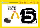 ★[PPT 우수자료★][조광권租鑛權] 조광권의 개념, 조광권 성공 사례, 조광권 전망, 조광권 특징 17페이지