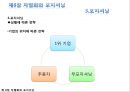 ★★★[다양한 마케팅 전략][시장市場세분화와  목표시장 선정][차별화][포지셔닝][시장세분화][차별화와 STP]★★★ 52페이지