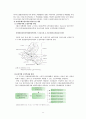 [★평가우수자료★] 정책 사례 분석 [수질오염총량관리제도] 수질오염총량관리제도 현황, 수질오염총량관리제도 제도 분석, 수질오염총량관리제도 문제점, 수질오염총량관리제도의 정책도구와 그 적절성 분석 15페이지
