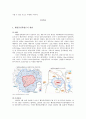 [★★평가우수자료★★] [세종시가 나아가야 할 방향] 국토균형발전을 위한 세종시 건설의 타당성 검토 - 자족성 확보를 중심으로
 4페이지