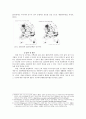 [★★평가우수자료★★] [세종시가 나아가야 할 방향] 국토균형발전을 위한 세종시 건설의 타당성 검토 - 자족성 확보를 중심으로
 7페이지