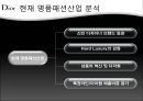 [★★평가우수자료★★][명품名品 사례] 명품패션 산업분석, 크리스찬 디올 분석, 크리스찬 디올 핵심 역량, 크리스찬 디올 문제점, 크리스찬 디올 대책방안 12페이지