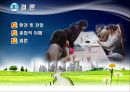 ★[PPT 우수자료★][부동산不動産 펀드] 부동산 펀드 개념, 부동산 펀드 특징, 부동산 펀드구조, 부동산 펀드 설립 방법, 부동산 펀드 유형, 부동산 펀드 운용, 부동산 펀드 전망 21페이지