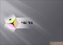 ★[PPT 우수자료★][사업事業계획서] 성 박물관 설립 사업계획서, 창업계획서, 성 박물관 계획서 3페이지