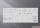 ★[PPT 우수자료★][사업事業계획서] 성 박물관 설립 사업계획서, 창업계획서, 성 박물관 계획서 14페이지