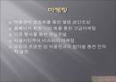★[PPT 우수자료★][사업事業계획서] 성 박물관 설립 사업계획서, 창업계획서, 성 박물관 계획서 32페이지