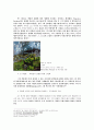 [평가우수자료][Spanish Renaissance] 스페인Spain의 르네상스, 르네상스 스페인, 스페인 르네상스, 유럽 르네상스 13페이지