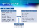 [★평가 우수★][Allison의 관료정치모형, 정책분석] Allison의 관료정치모형(정책분석)을 통한 새만금 간척사업 분석, 정책분석 10페이지