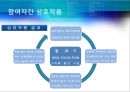 [★평가 우수★][Allison의 관료정치모형, 정책분석] Allison의 관료정치모형(정책분석)을 통한 새만금 간척사업 분석, 정책분석 23페이지
