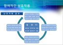 [★평가 우수★][Allison의 관료정치모형, 정책분석] Allison의 관료정치모형(정책분석)을 통한 새만금 간척사업 분석, 정책분석 24페이지