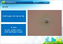 ★[PPT 우수자료★][부동산不動産 개론] 타운하우스와 아파트관리 방법, 관리방법, 타운하우스 관립버, 아파트 관리법 17페이지
