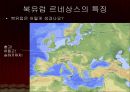 [★평가우수자료★][북유럽 르네상스 예술] 북유럽 르네상스 미술.ppt
 5페이지