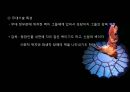 [★평가우수자료★][프랑스 문화, 프랑스 뮤지컬] 프랑스 뮤지컬 역사, 프랑스 뮤지컬 특징, 프랑스 뮤지컬 분석, 프랑스 뮤지컬 종류, 프랑스 뮤지컬.ppt 11페이지