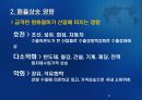 [★평가 우수★](환율 전망) 환율, 왜 한국만 더 불안정한가  - 환율 변동 요인, 환율 변동 영향, 환율 불안 대응법, 환율 전망.ppt
 11페이지
