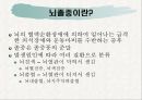 뇌졸중 {정의, 증상, 원인, 치료, 예방}.ppt 4페이지