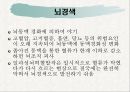 뇌졸중 {정의, 증상, 원인, 치료, 예방}.ppt 11페이지