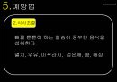 골다공증.ppt 20페이지