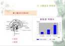 고혈압 {고혈압 정의, 원인 및 증상, 합병증, 치료 및 예방, 오해들}.ppt 13페이지