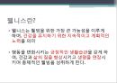 웰니스(wellness)의 7가지 특징.pptx 2페이지