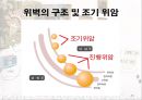 암과 관절염 {간암, 대장암, 위암, 폐암, 유방암}.pptx 30페이지