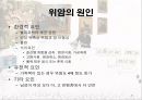 암과 관절염 {간암, 대장암, 위암, 폐암, 유방암}.pptx 31페이지