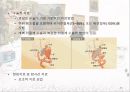 암과 관절염 {간암, 대장암, 위암, 폐암, 유방암}.pptx 36페이지