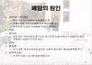 암과 관절염 {간암, 대장암, 위암, 폐암, 유방암}.pptx 42페이지