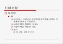 신체조성과 운동.ppt 9페이지