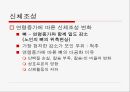 신체조성과 운동.ppt 17페이지