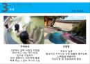 리조트경영 - 스파 리조트(Spa Resort).pptx 28페이지