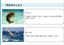 리조트경영론 - 마리나리조트 {마리나 리조트의 개념, 역사, 현황 입지조건, 기본시설 / 엘도라도 리조트와 수트라하버리조트의 4P, SWOT분석, 문제점 & 해결방안}.pptx 9페이지