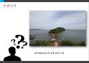 [관광정책론] 안산 대부해솔길.pptx 4페이지